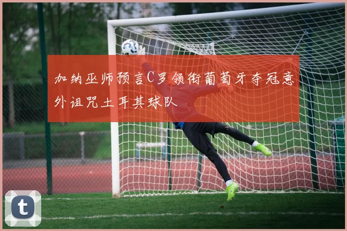 加纳巫师预言C罗领衔葡萄牙夺冠意外诅咒土耳其球队